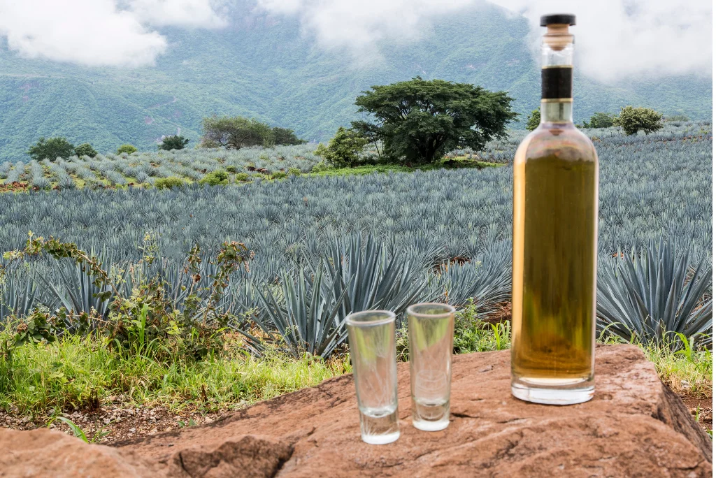 Alkohol Tequila